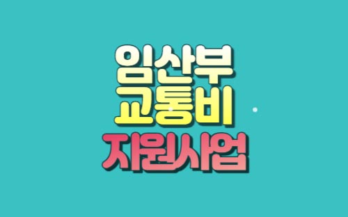 서울시 임산부 교통비 지원 사업 총정리